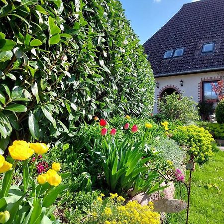 Klosterblick Bad Doberan Bagian luar foto
