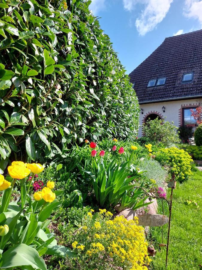 Klosterblick Bad Doberan Bagian luar foto