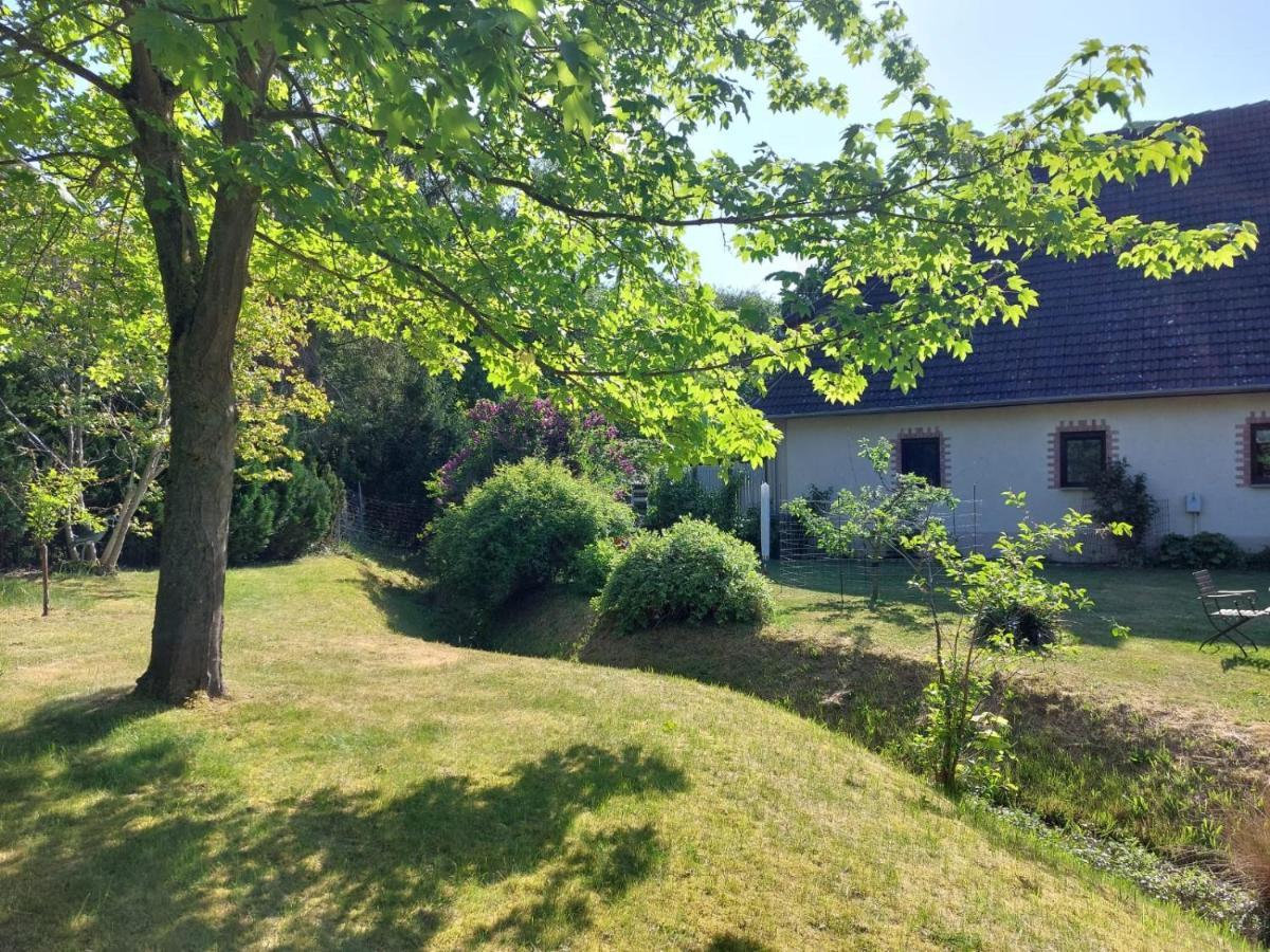 Klosterblick Bad Doberan Bagian luar foto