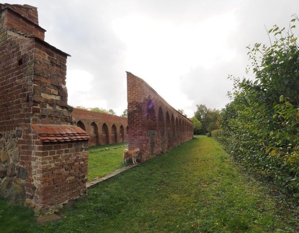 Klosterblick Bad Doberan Bagian luar foto