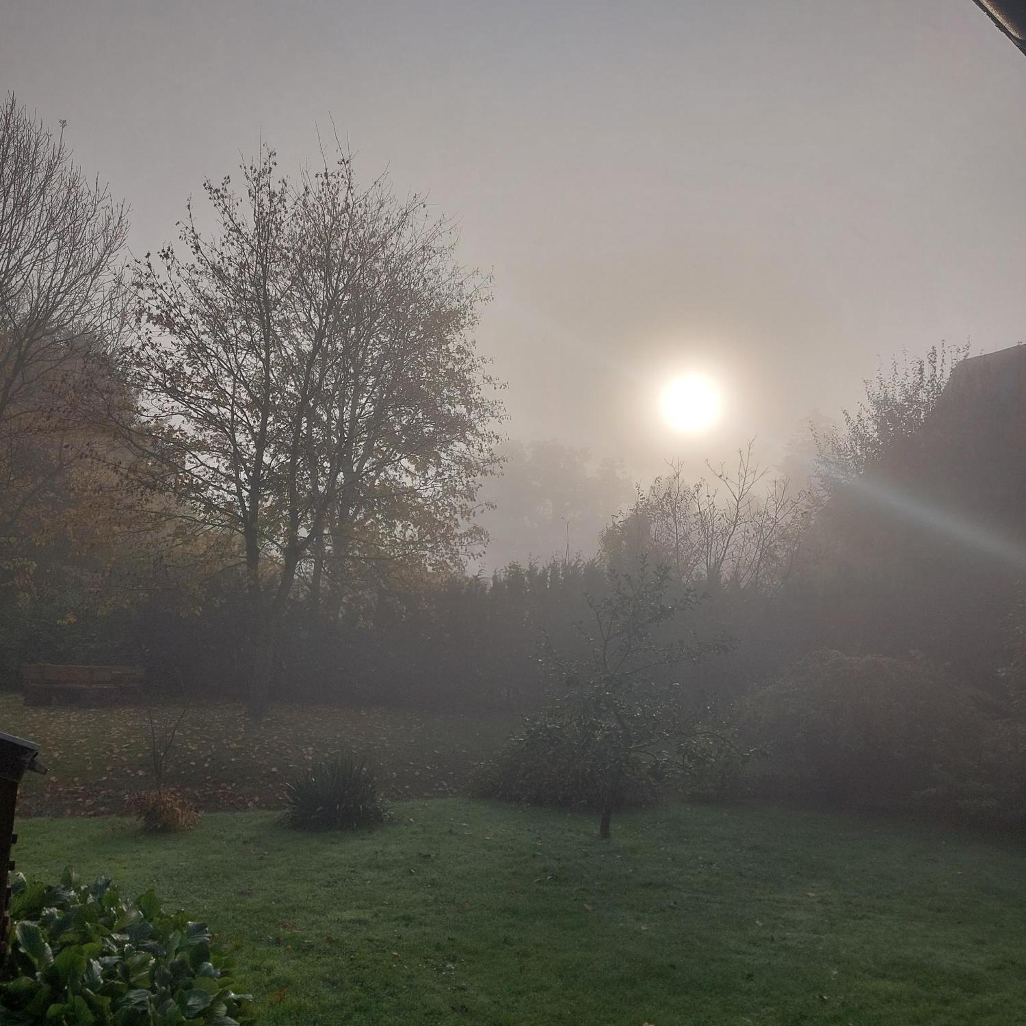 Klosterblick Bad Doberan Bagian luar foto