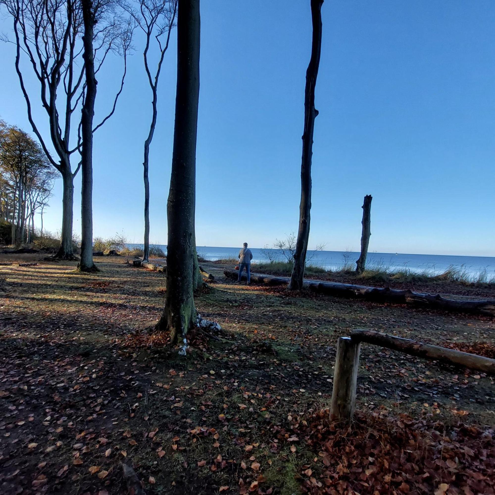 Klosterblick Bad Doberan Bagian luar foto